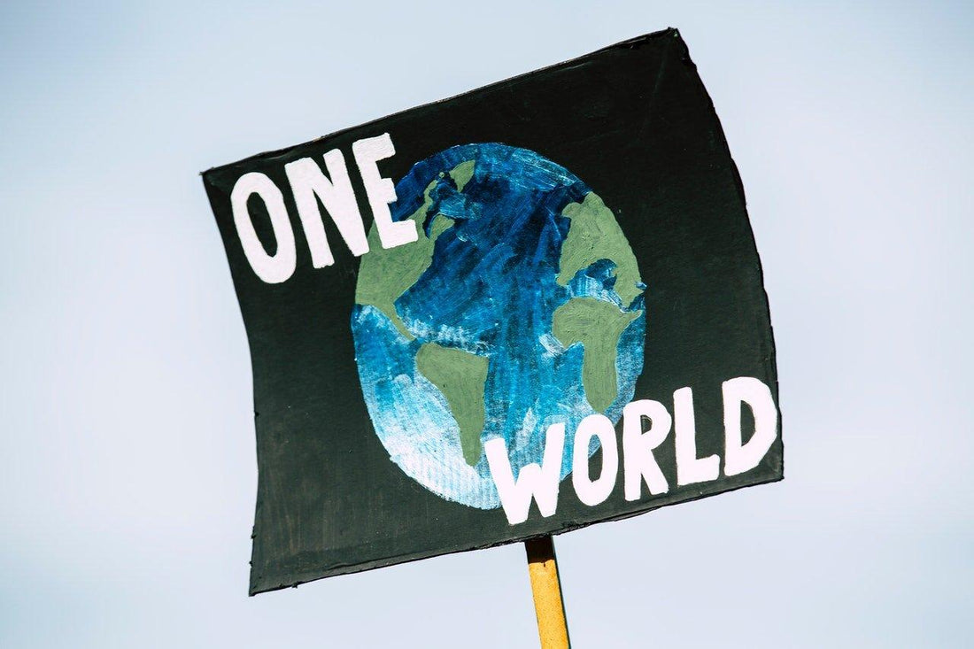 Bamboo And The Fight Against Climate Change - Vearthy