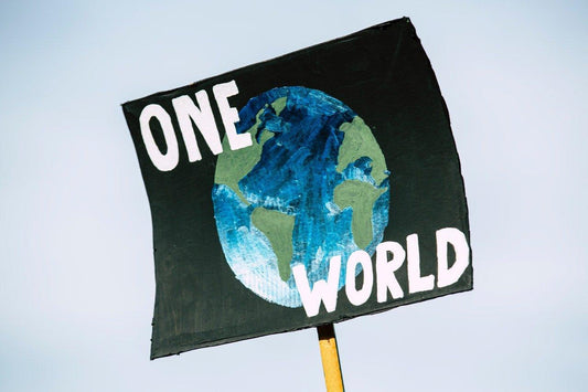 Bamboo And The Fight Against Climate Change - Vearthy