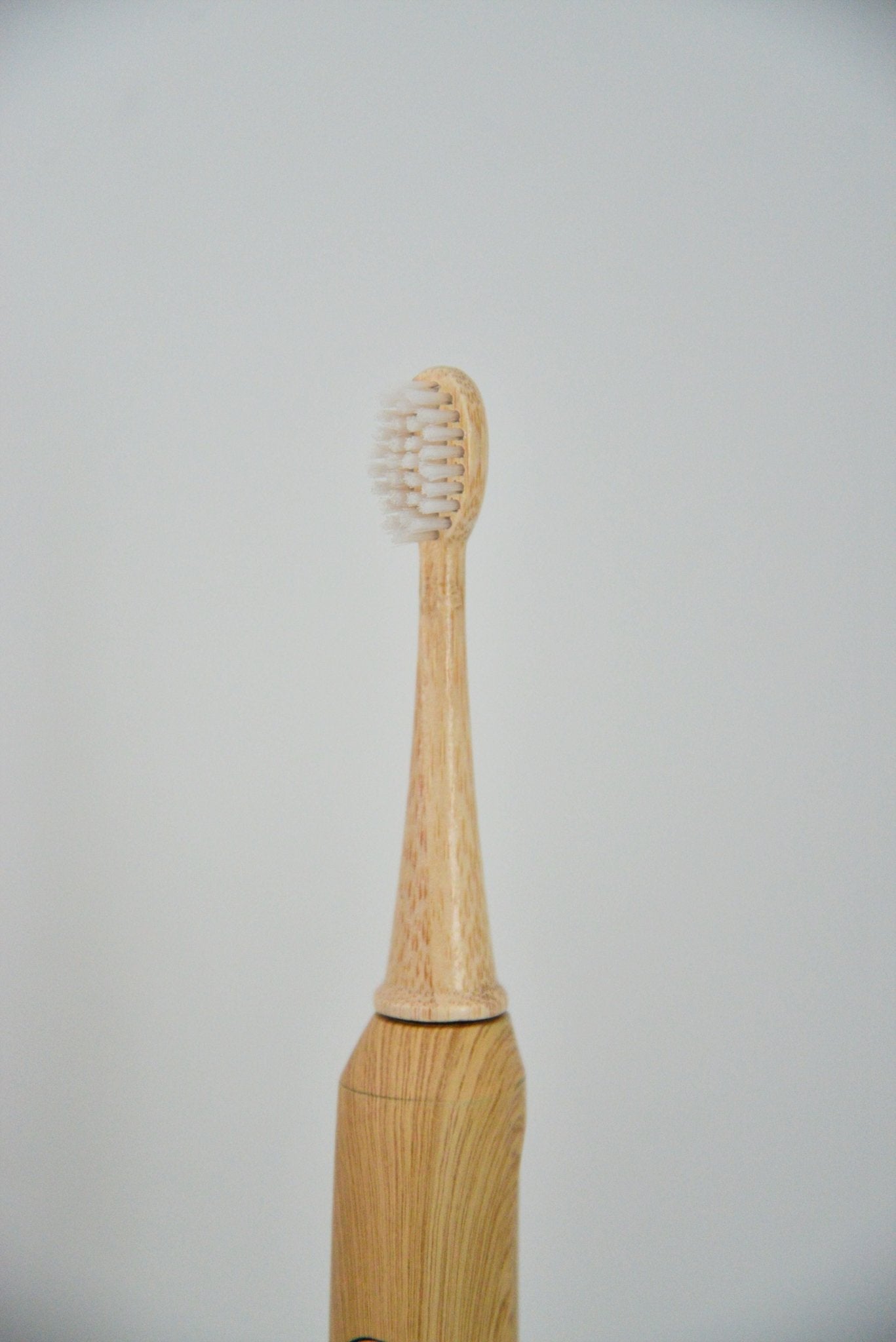 eco friendly electric toothbrush head replacement - castor seed oil from vearthy