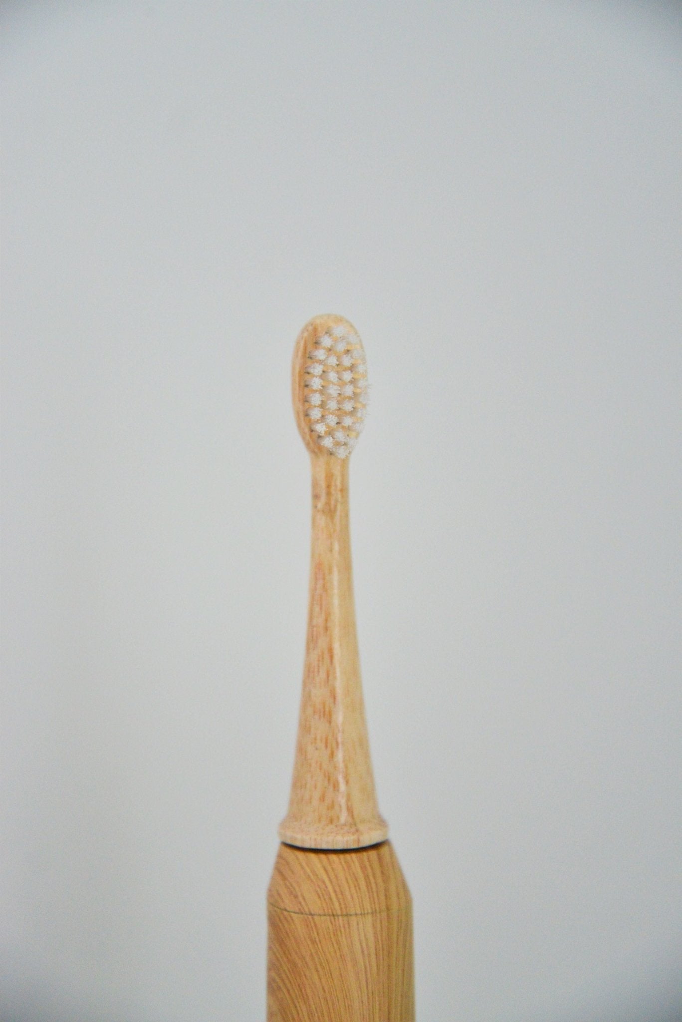 Castor seed oil electric toothbrush head replacement