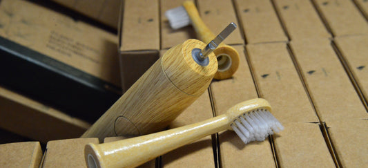 Bamboo electric toothbrush and bamboo replacement head sitting on boxes of cardboard vearthy boxes
