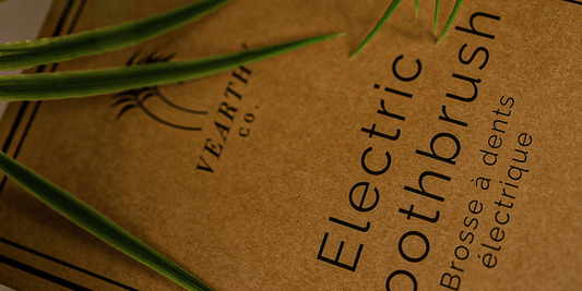 Eco friendly bamboo electric toothbrush from Vearthy.com sits under some fresh plant leaves