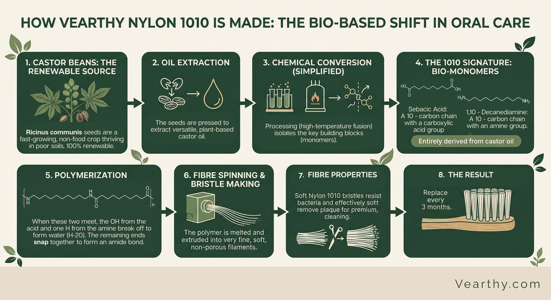An infographic describing how castor is turned into nylon 1010 in a step by step guide