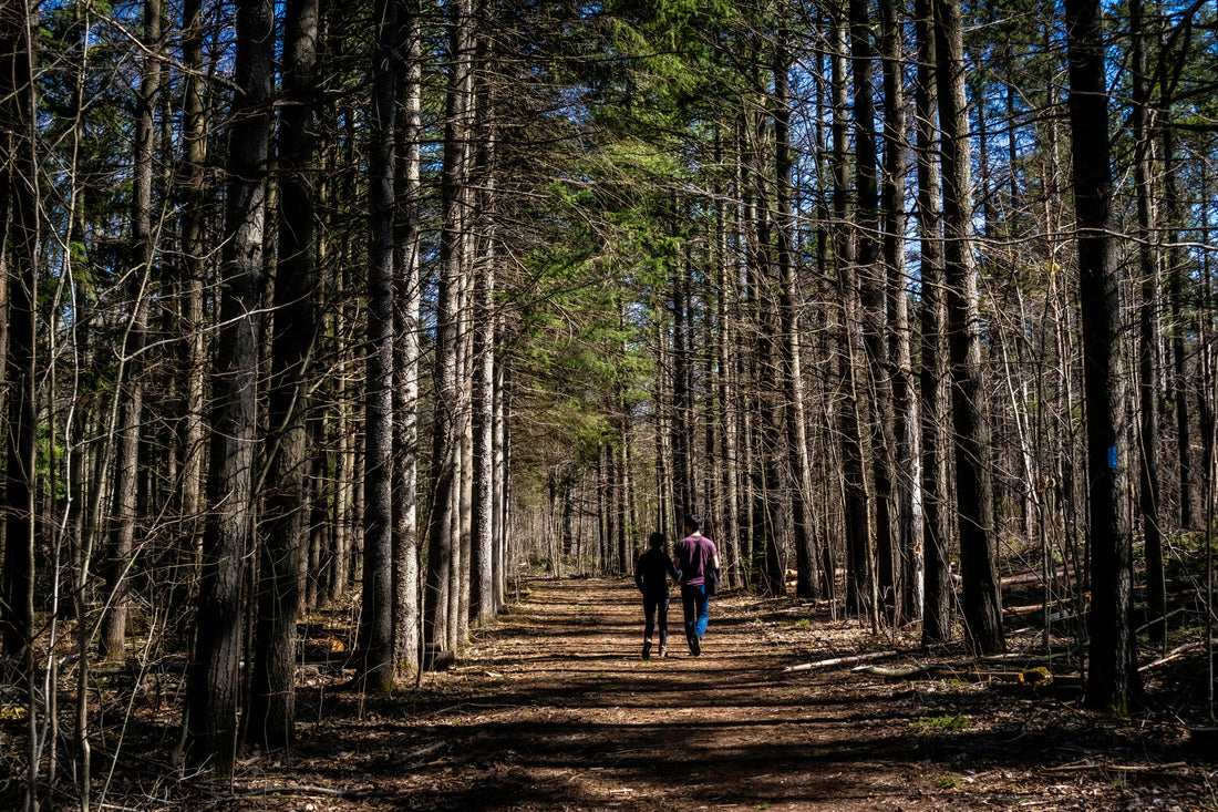 two people walking through a wooded trail in ontario