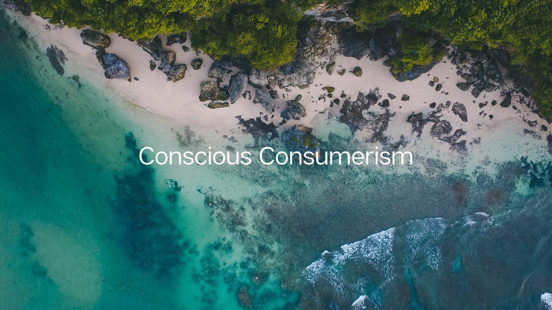 What is Concsious Consumerism? - Vearthy