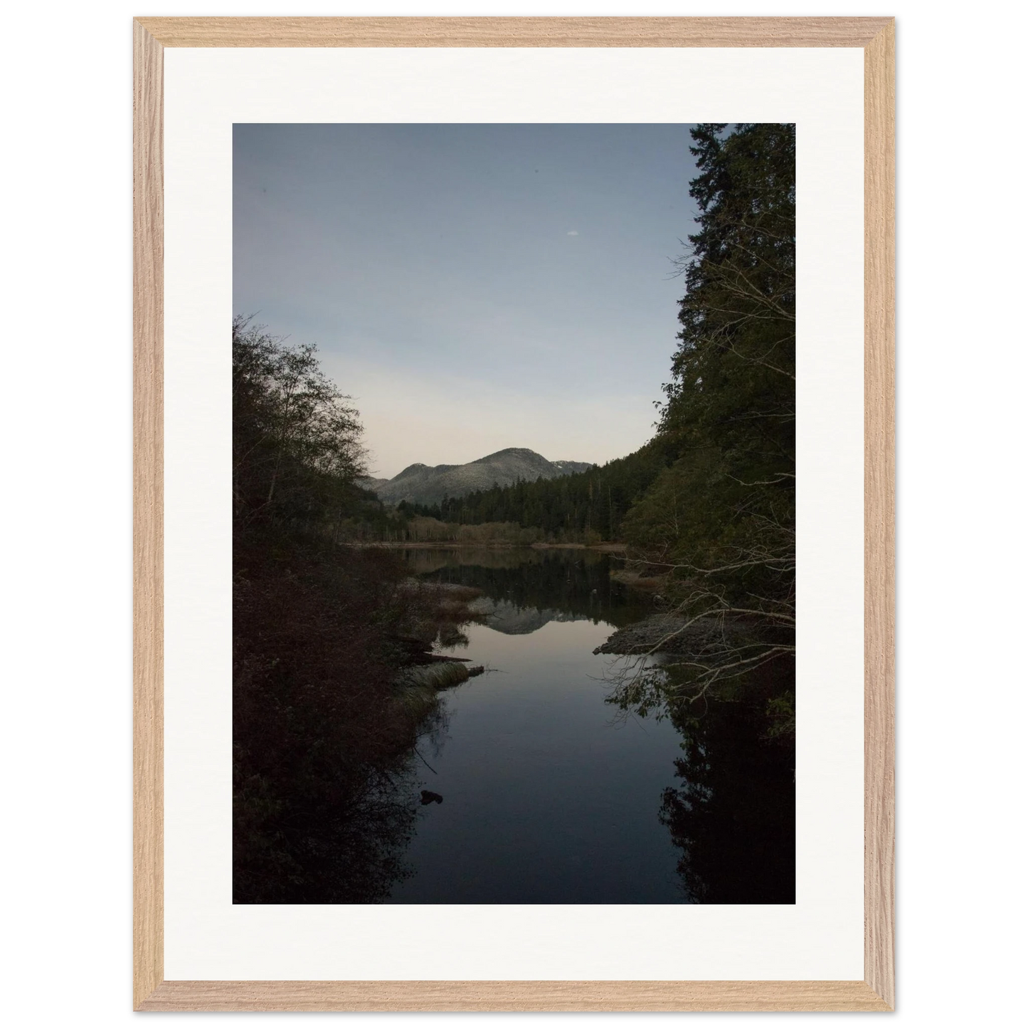 1b79ff62-565b-45a8-9a80-caad346622c3