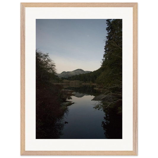 1b79ff62-565b-45a8-9a80-caad346622c3