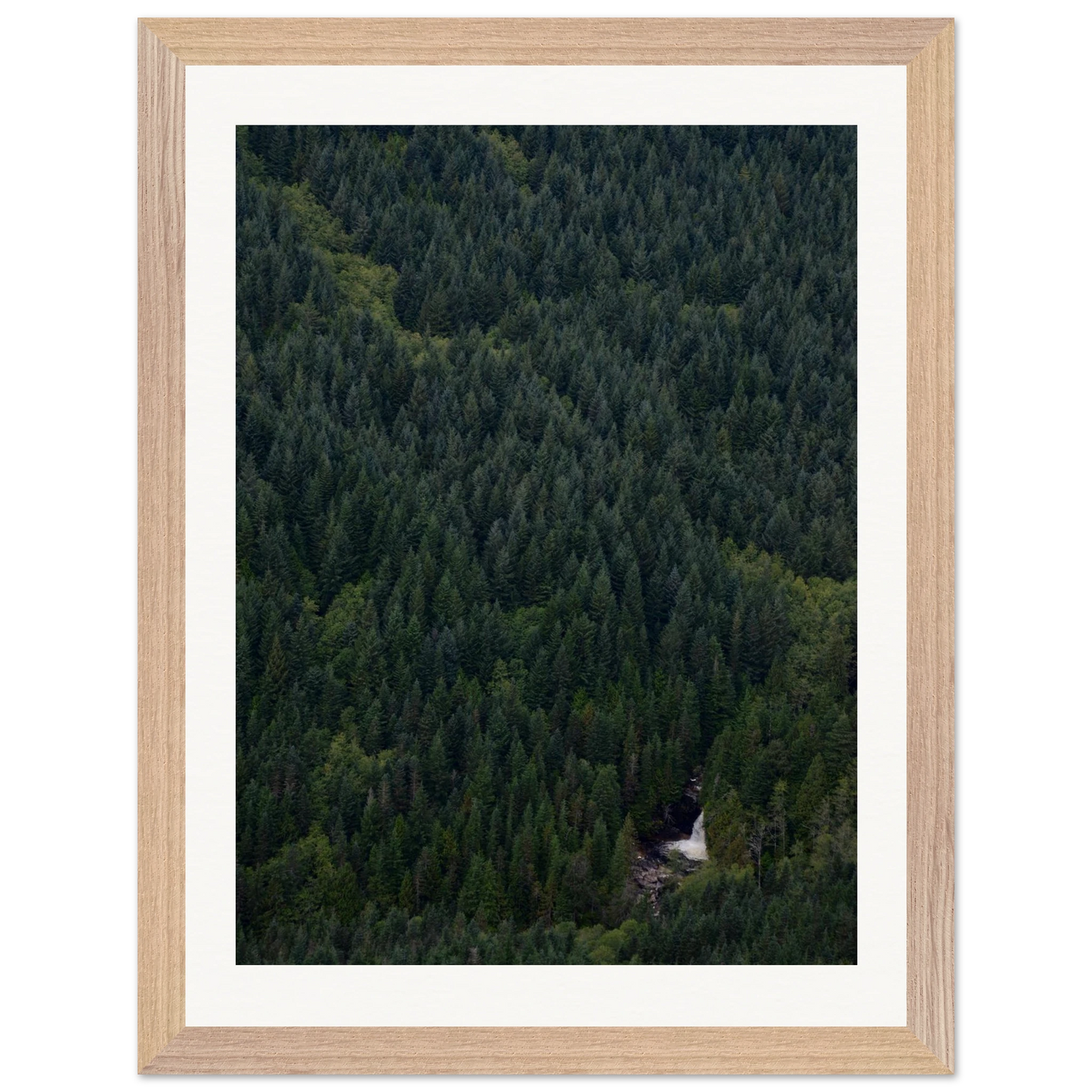 1cf8d15c-bc0a-4184-98da-03225bda6d85