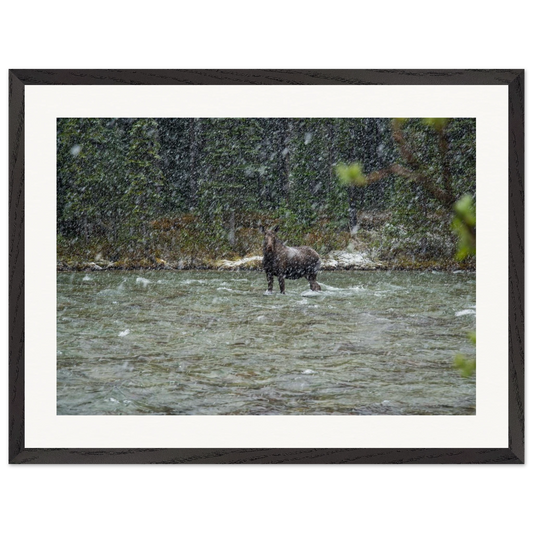 1fca1a57-98ea-44f9-97e0-40a025267834