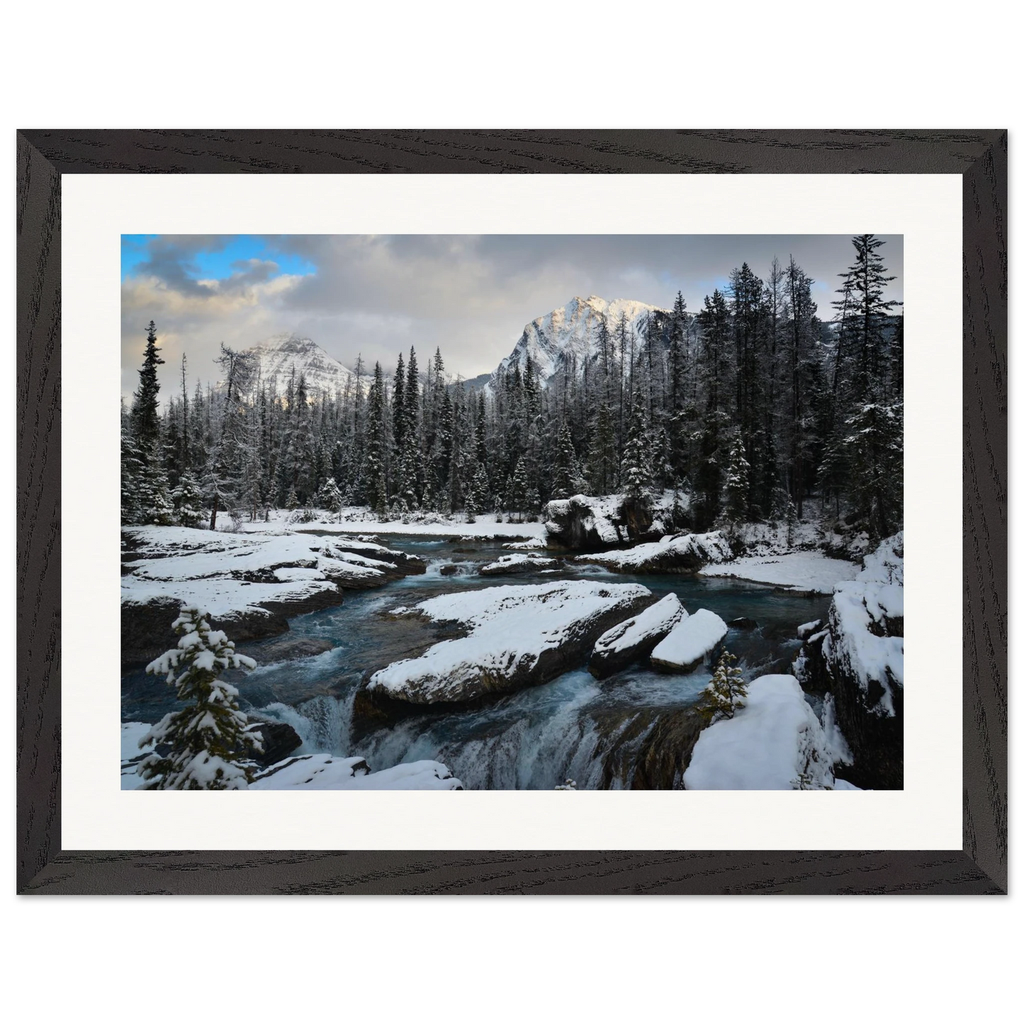 2ad10a37-5fcf-44cf-b846-09c9cf9c60c6