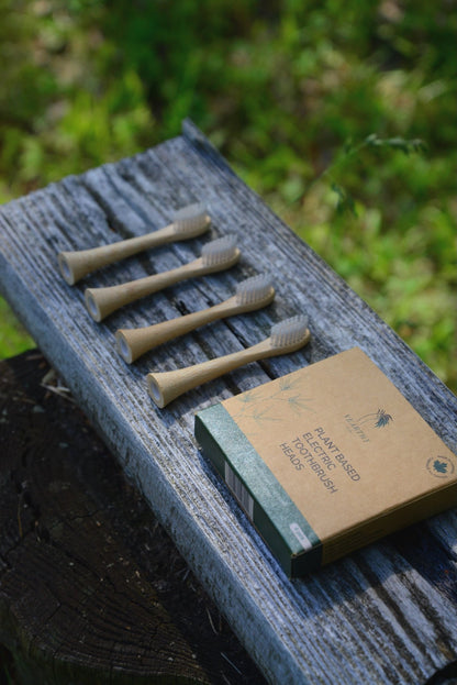 Plant-based electric toothbrush replacement heads with bamboo bodies and castor seed oil bristles, made in Canada