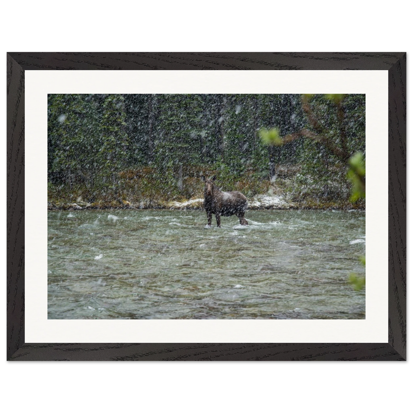 4364bffc-fb68-406f-8062-3ed322448688