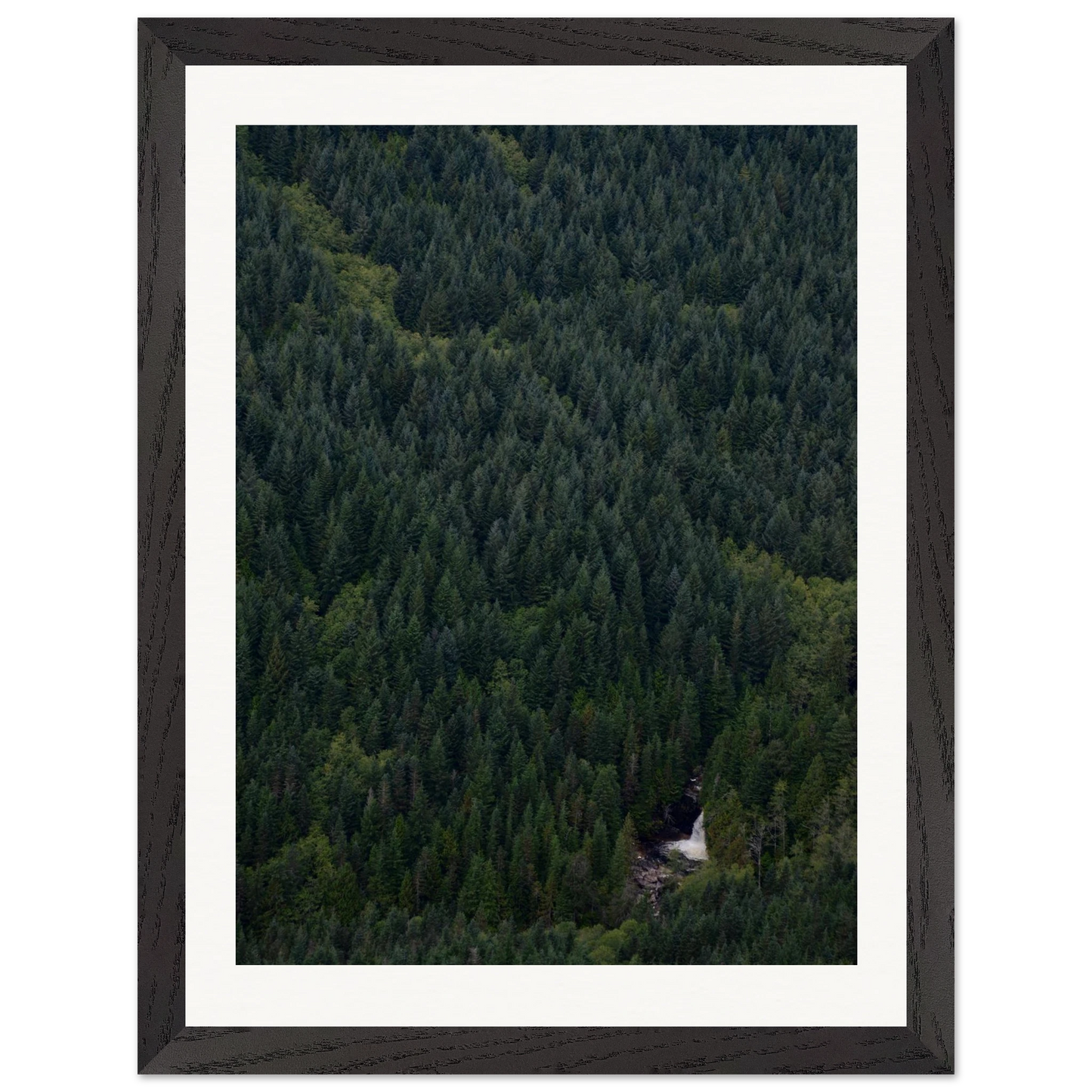 44b288c0-1d0d-42f9-99cd-52e2cf2b3835