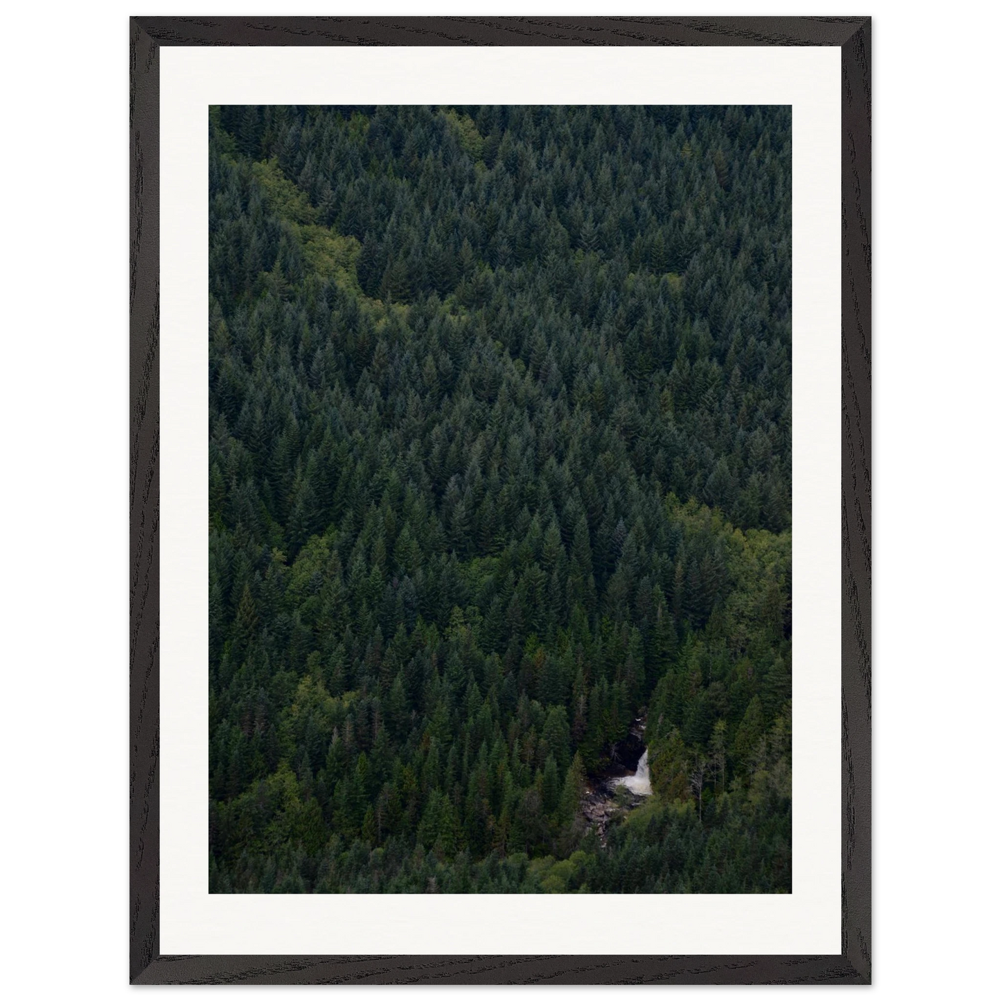 6902d14e-5ab2-4d18-a6bb-42239df1b128