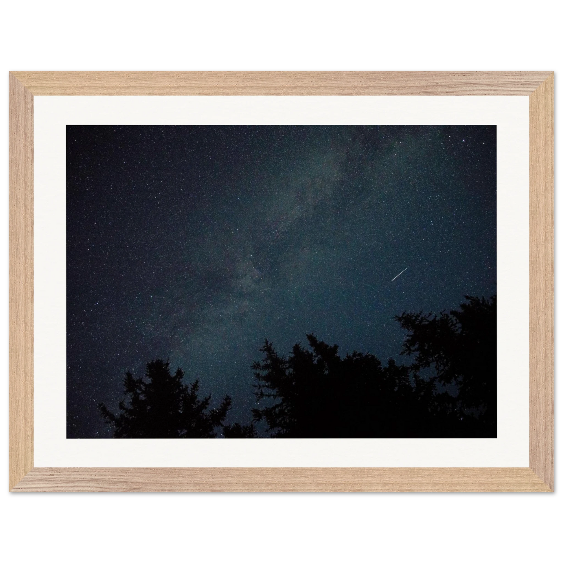 84955482-0231-473f-b9bb-877eb96c7036