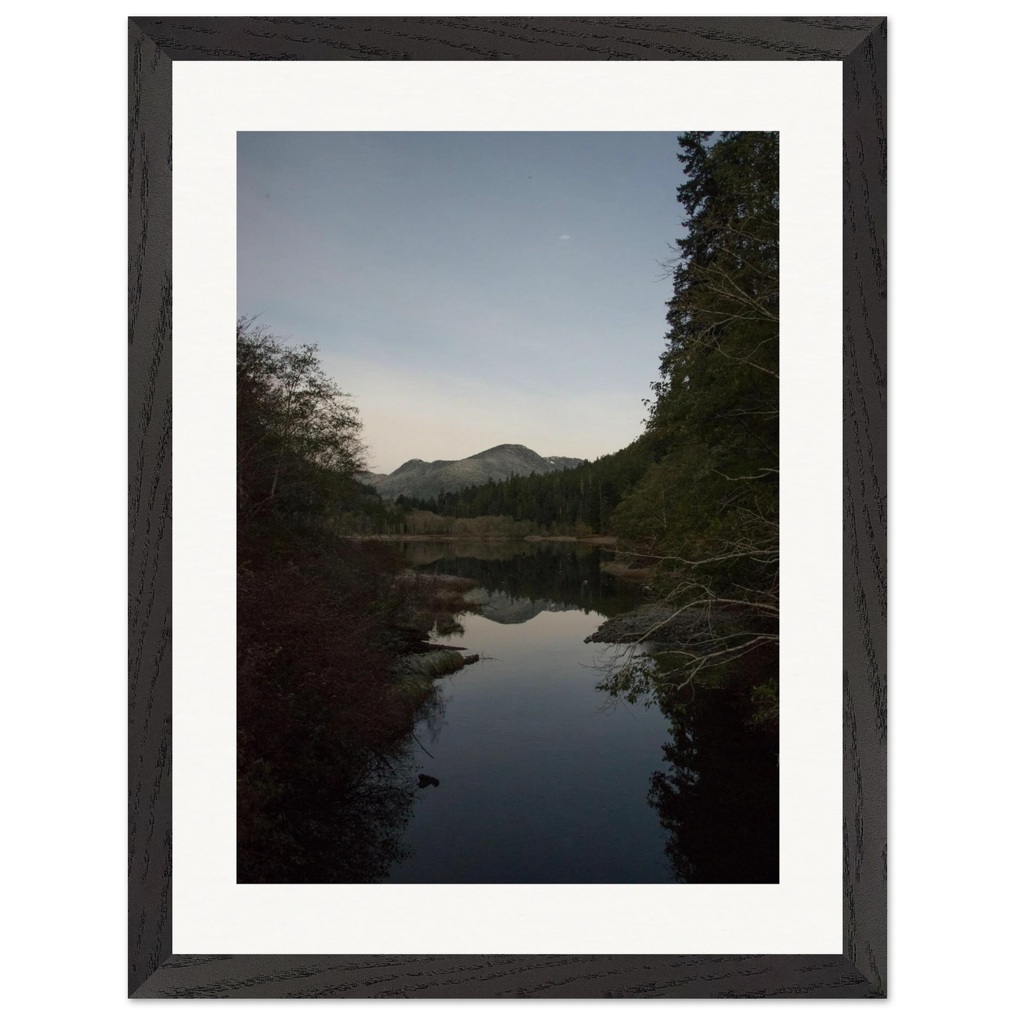 965c8677-9b24-4753-8276-e6f374f385c7