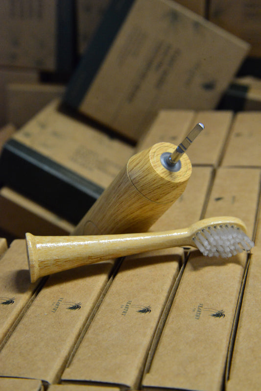 Bamboo toothbrush and handle on cardboard boxes