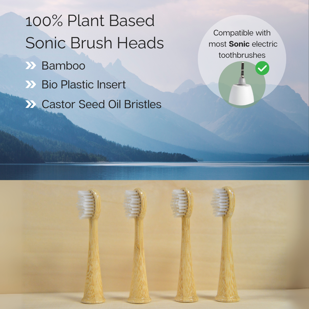 compatibility with sonic toothbrush heads shown