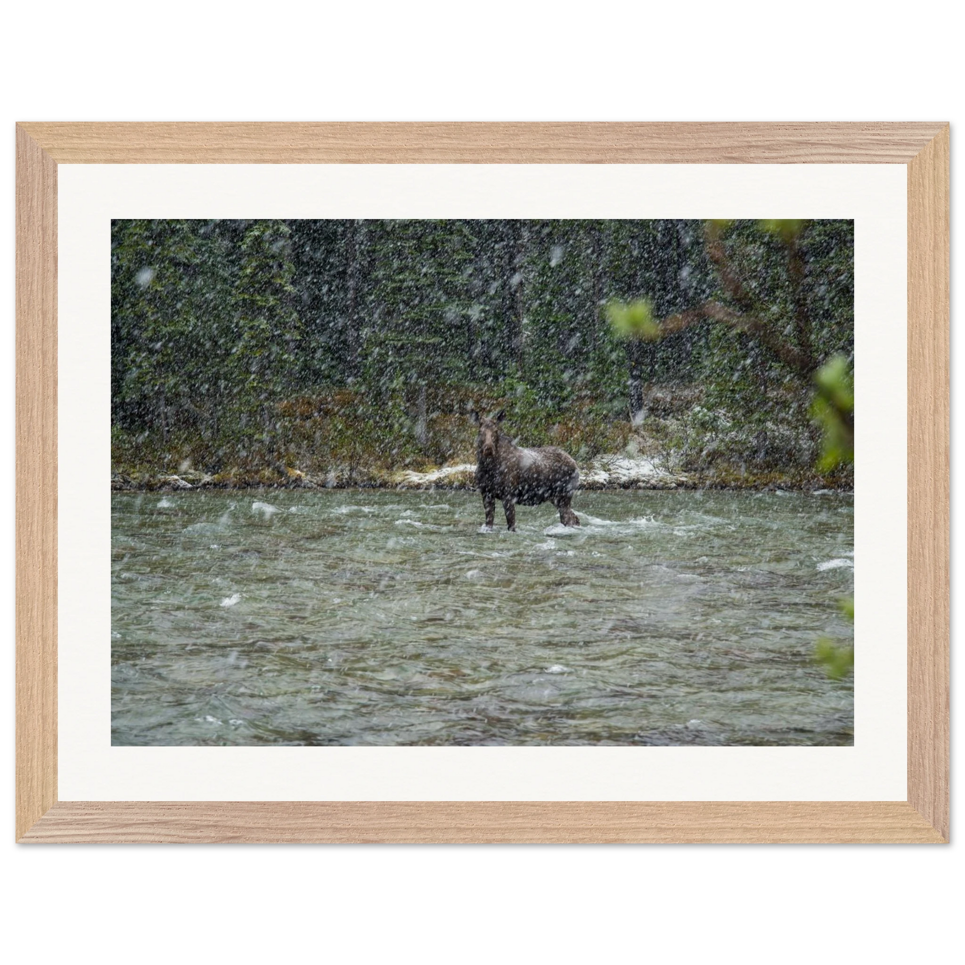 e09d0728-6bc1-490f-a75a-559952a388a6