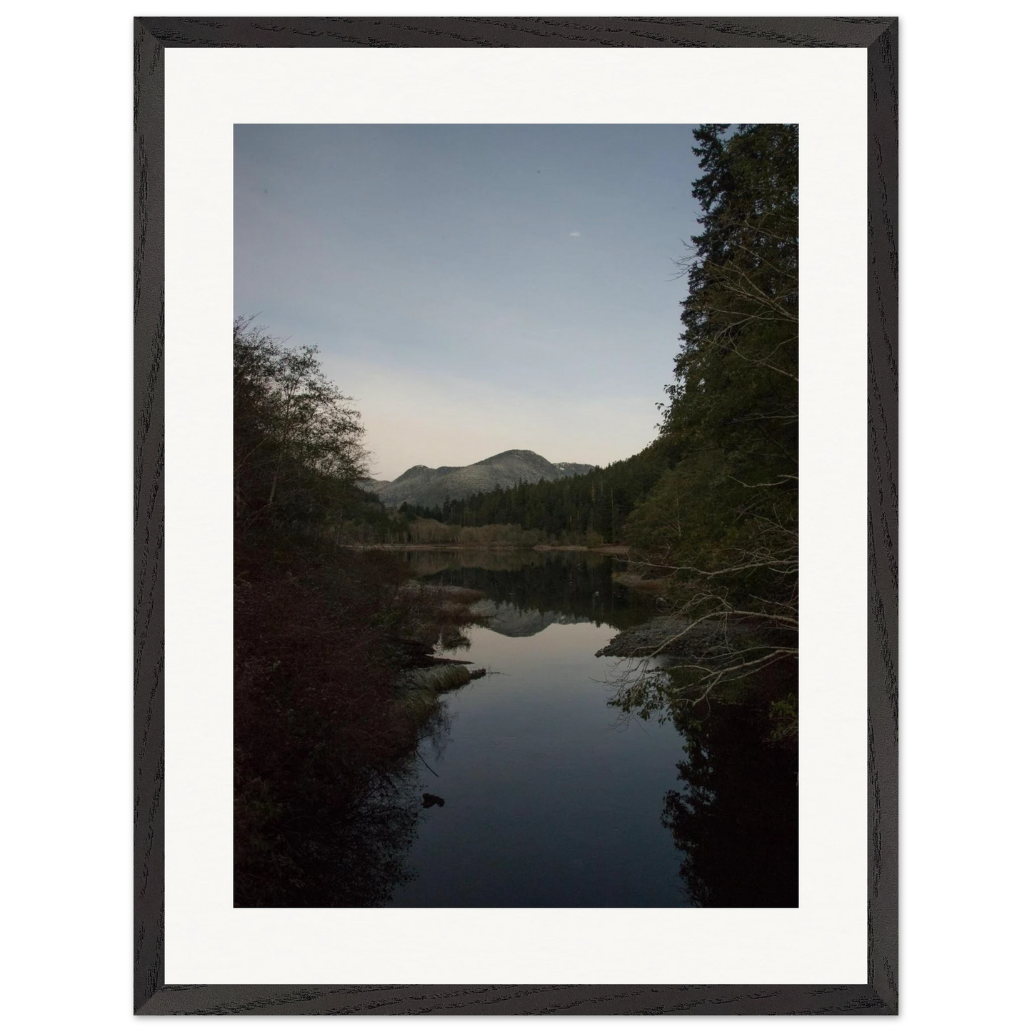 eb724a8a-7141-451c-ac94-a8ce72caa8d2