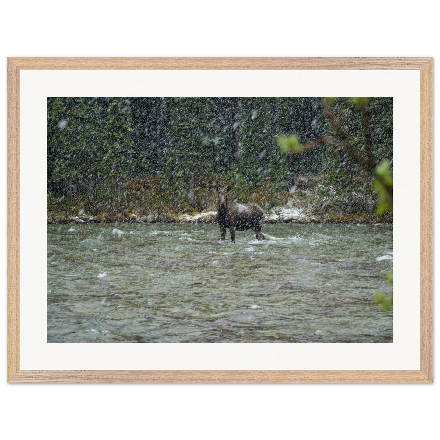 ef58a85e-db6c-4029-b142-d7314f3987db