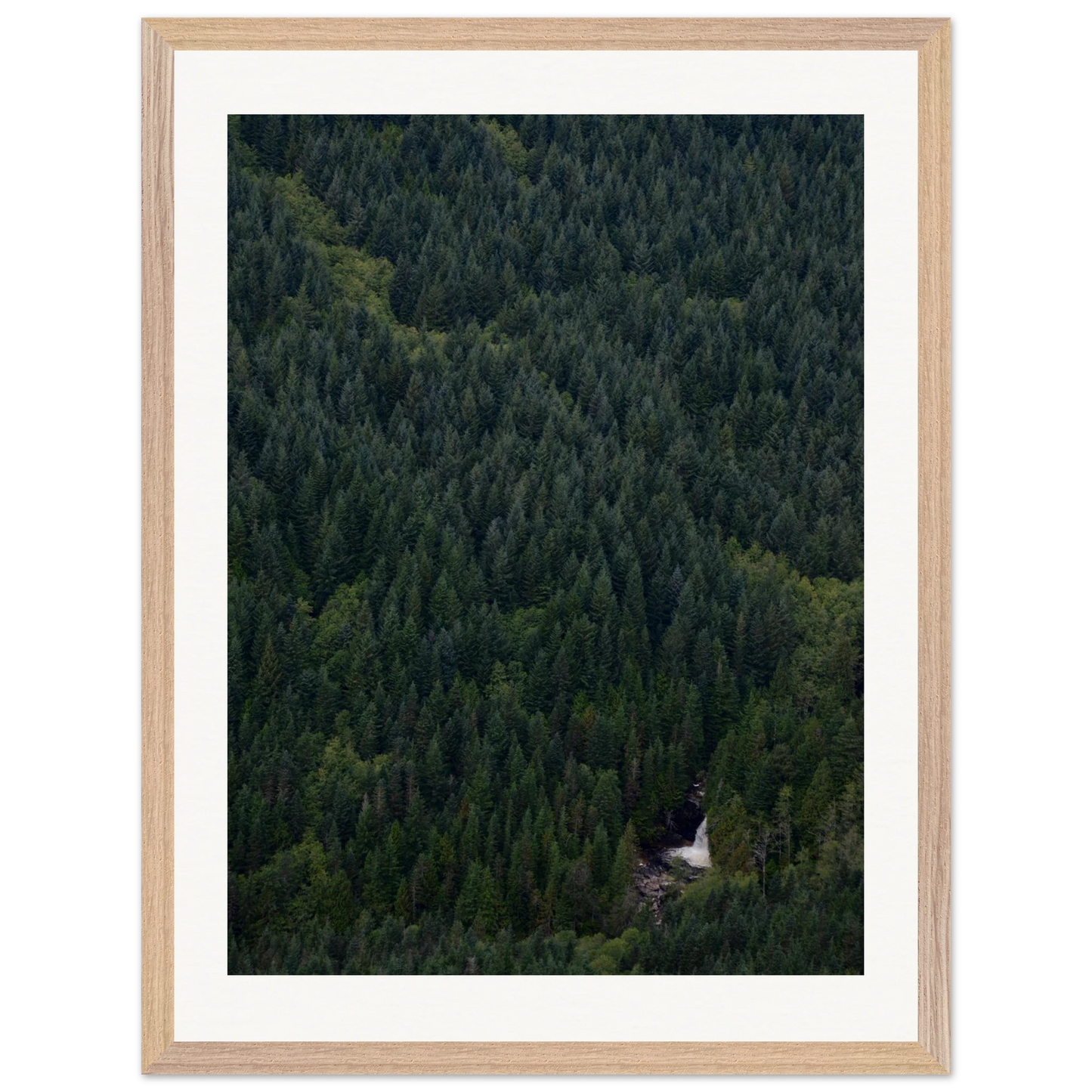 fca39763-6e30-4b6b-ab12-44b7ac043023