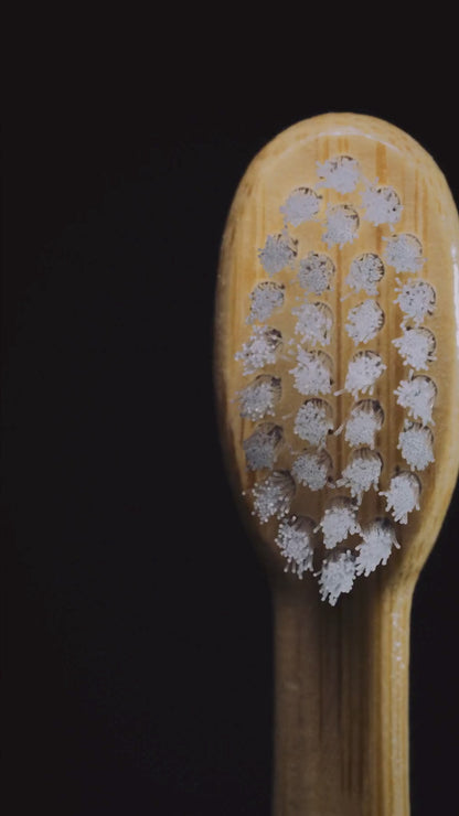 Plant-Based Electric Toothbrush Head Replacement