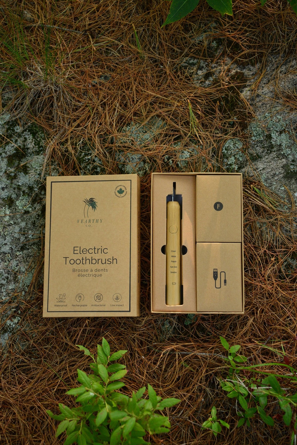 A Vearthy electric toothbrush in a kraft paper case, shown open with the toothbrush inside, alongside the branded kraft paper lid, placed on a natural background of pine needles and moss.