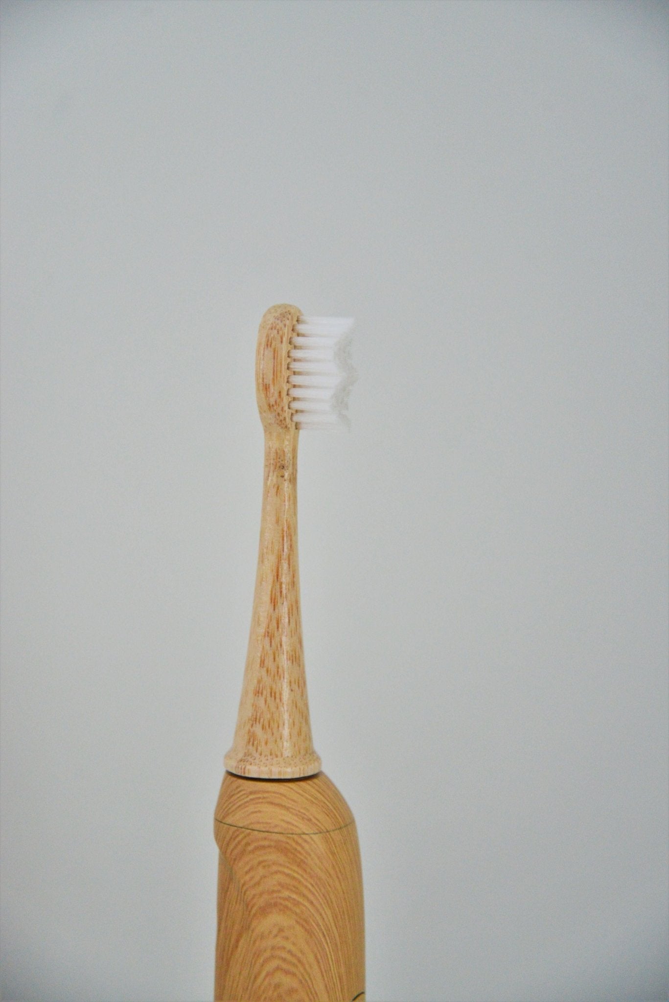 Castor seed oil electric toothbrush head replacement